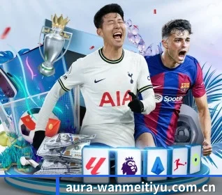 完美体育 APP 界面 - WMsports